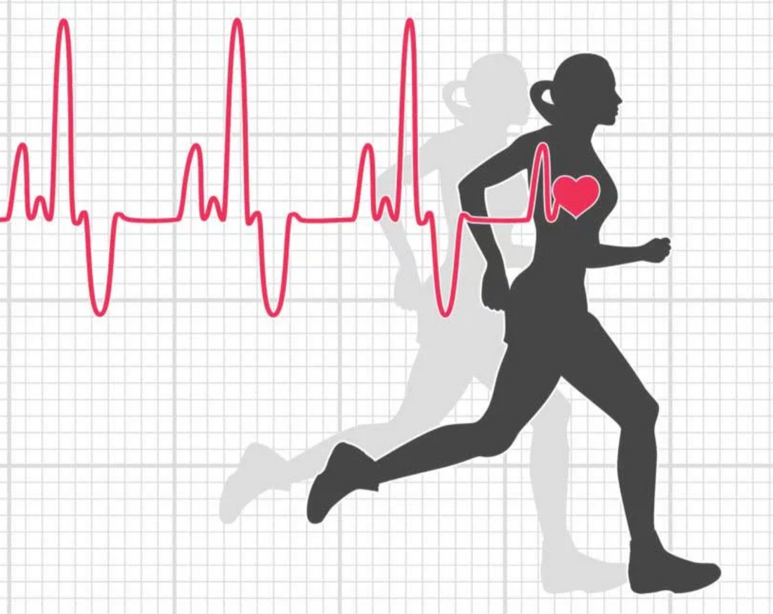 Chapter 8: Advantages of lower heart-rate during endurance sport